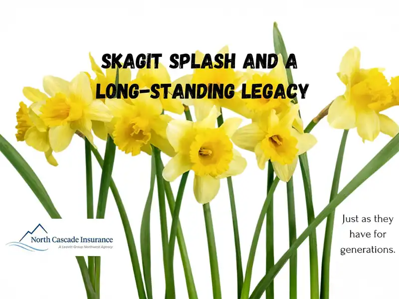 Blog Skagit Splash and a Long-Standing Legacy